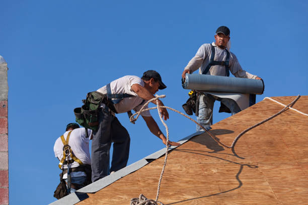Best Roof Gutter Cleaning  in White Island Shores, MA